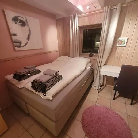 3 Bedrooms Apartment! Close To Aurora Observatory.