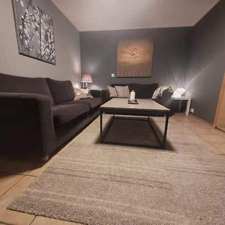 3 Bedrooms Apartment! Close To Aurora Observatory. アパート