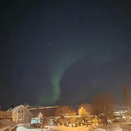 3 Bedrooms Apartment! Close To Aurora Observatory. *